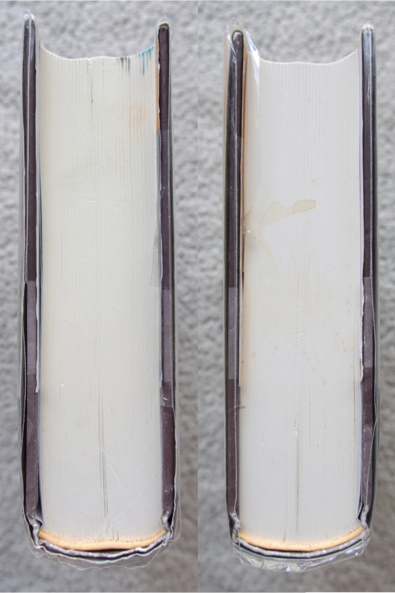 インセスト アナイス・ニンの愛の日記【無削除版】1932~1934 (彩流社) アナイス・ニン　杉崎和子編訳_画像6