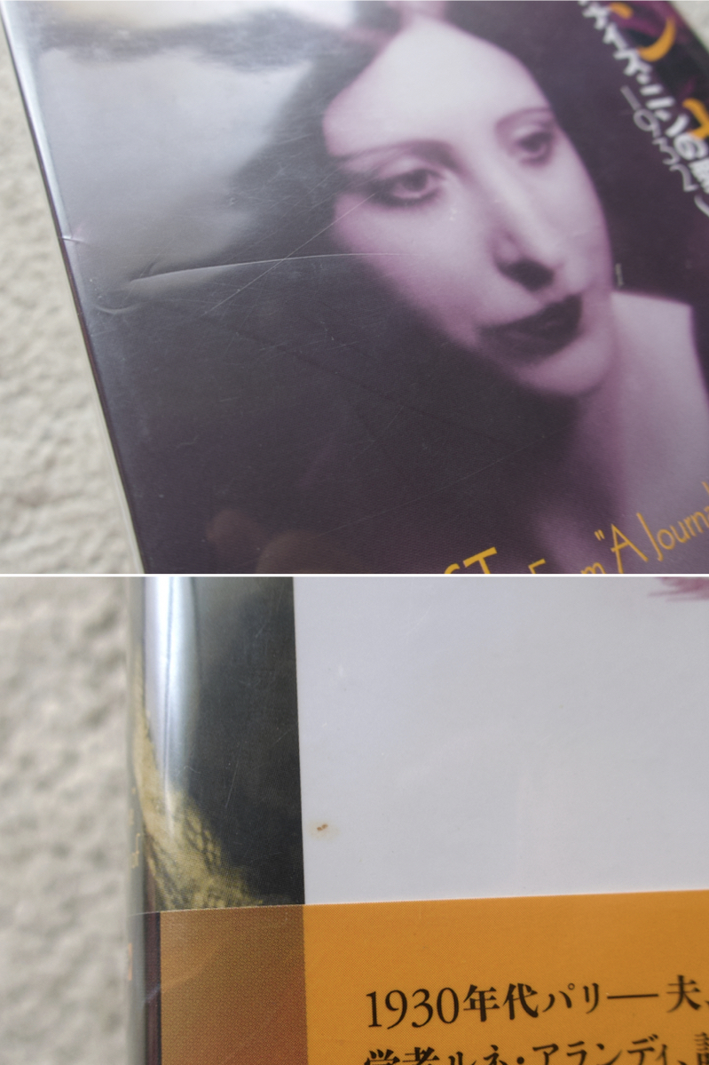 インセスト アナイス・ニンの愛の日記【無削除版】1932~1934 (彩流社) アナイス・ニン　杉崎和子編訳_画像3