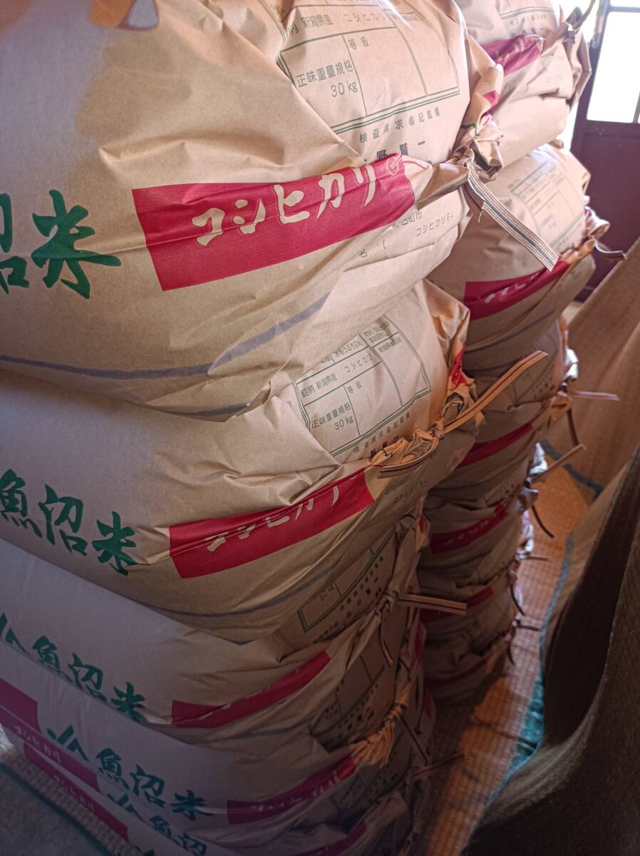 令和７年新米　魚沼産こしひかり　玄米30キロ　保有米