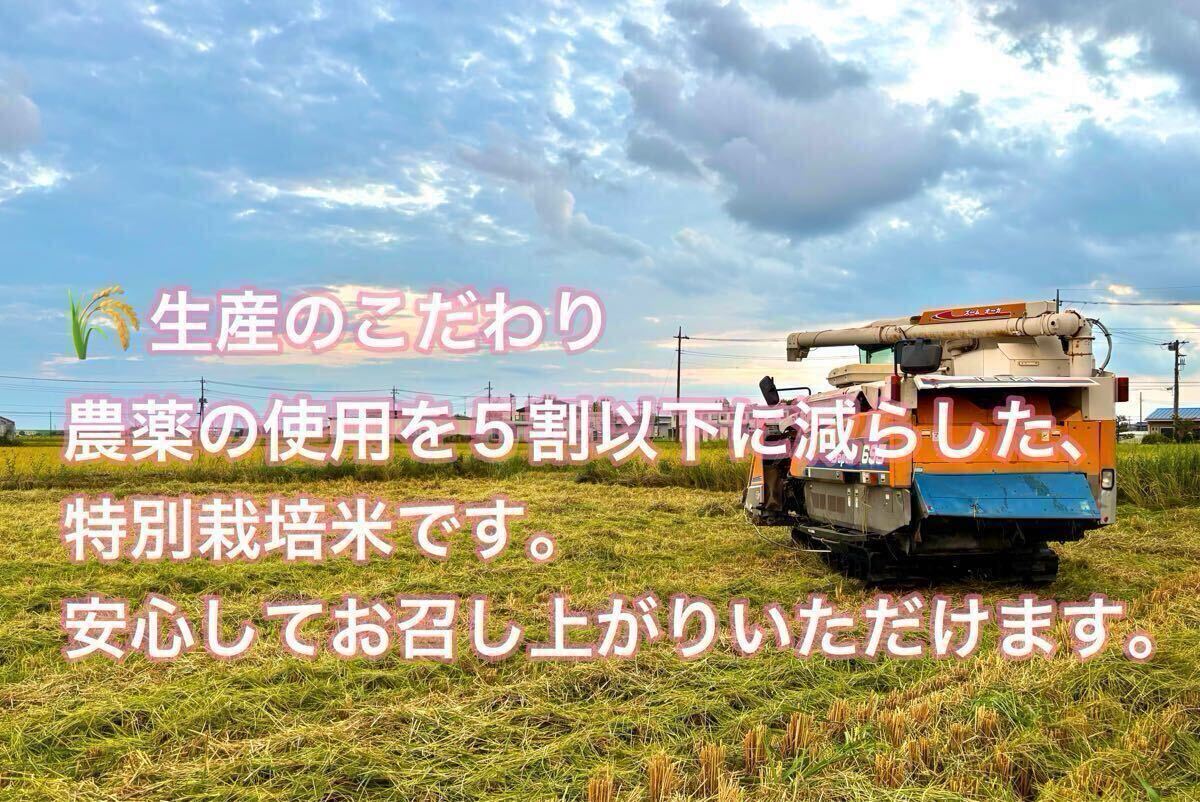 手渡可！令和7年新米★埼玉県加須市（北川辺産）コシヒカリ?ミルキークイーン玄米30kgキロ※精米不可★特別栽培米 減農(nóng)薬栽培 農(nóng)家直送 