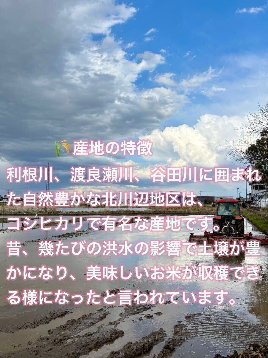 手渡可！令和7年新米★埼玉県加須市（北川辺産）コシヒカリ?ミルキークイーン玄米30kgキロ※精米不可★特別栽培米 減農(nóng)薬栽培 農(nóng)家直送 