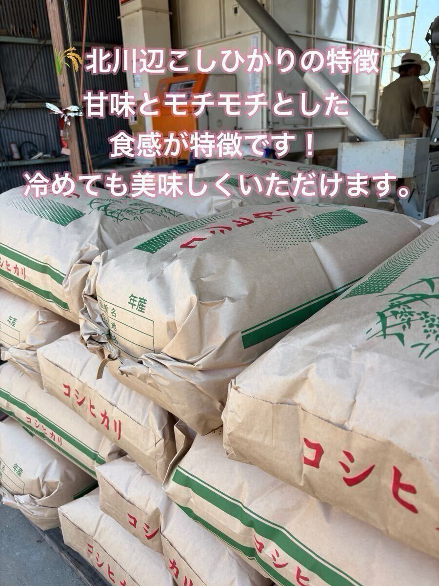 手渡可！令和7年新米★埼玉県加須市（北川辺産）コシヒカリ?ミルキークイーン玄米30kgキロ※精米不可★特別栽培米 減農(nóng)薬栽培 農(nóng)家直送 