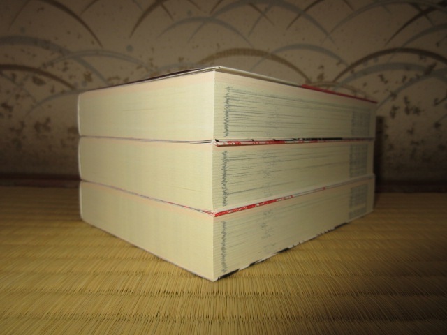 全3巻BOX　北斎漫画　江戸百態　森羅万象　奇想天外　青幻舎 使用感なく状態良好　ケースに擦れ・キズあり_画像10