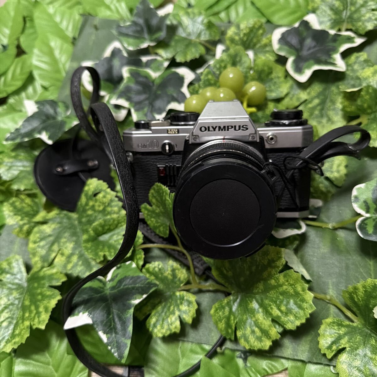 OLYMPUS OM10