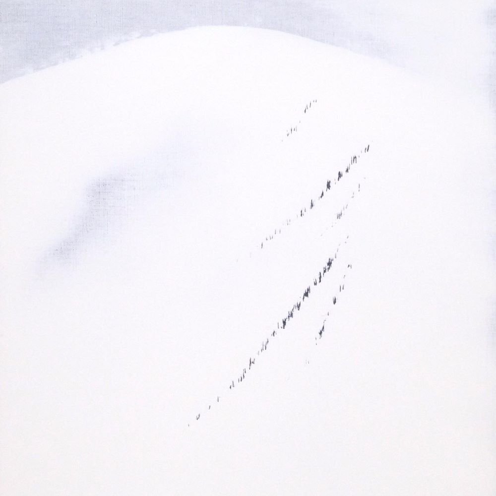 トミオカホワイトの値段と価格推移は？｜2件の売買データから