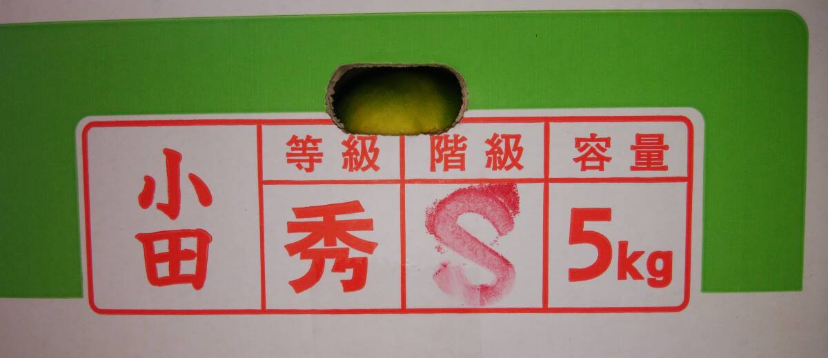 　1円～スタート【高知県産】☆　山北みかん　秀Sサイズ　約5kg?！ˉ`ル便発送