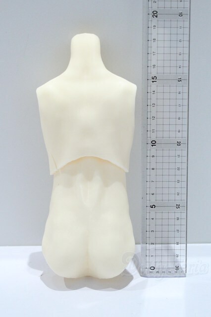 DDP/Fiorista!様製 筋肉ボディver.2 S-25-09-28-041-SK-ZS_画像2