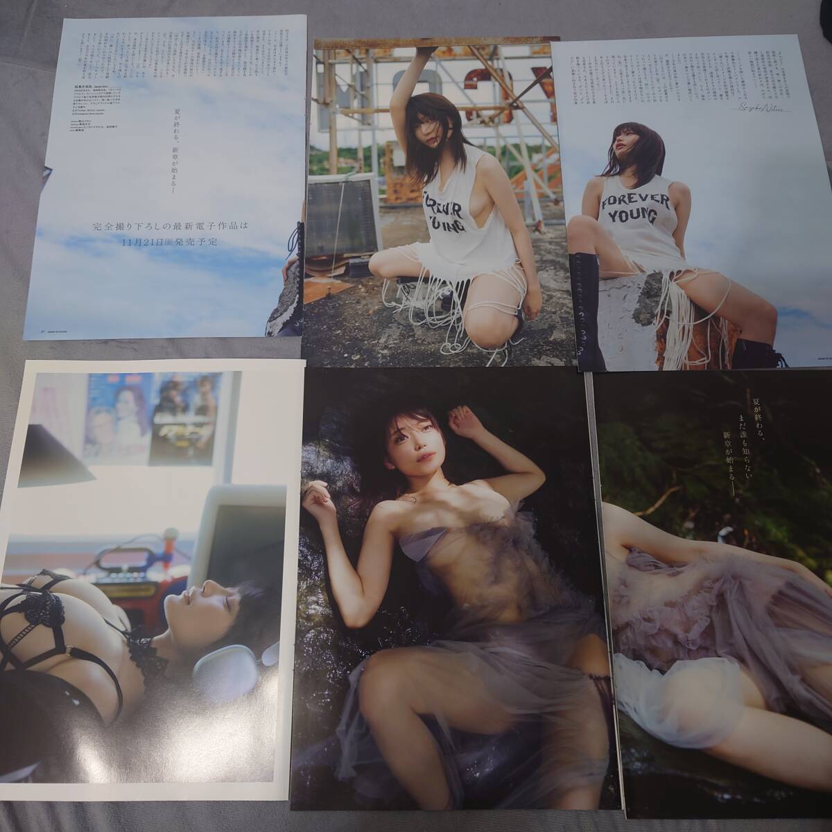 似鳥沙也加 切り抜き　21ページ _画像3