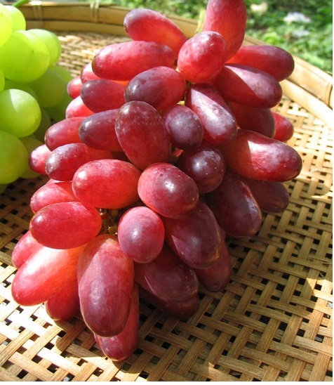 【京の果実屋】長野県●新品種●ぶどう● クイーンルージュ 約1キロ(2～5房) 赤ブドウ