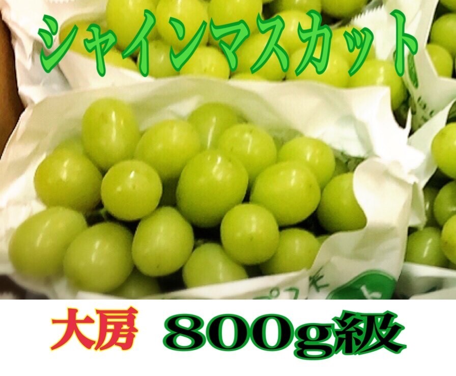 【京の果実屋】大房800g級(jí)！岡山『晴王』シャインマスカット★皮ごと種なし激甘?。狈繀g価◆