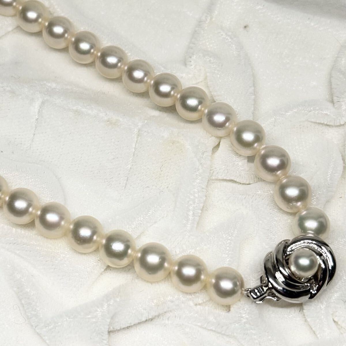 【花珠級】 田崎真珠 あこや ネックレス SILVER金具 約7.5〜8mm 42cm アコヤ パール pearl シルバー刻印 necklace 本真珠 タサキ TASAKI_画像6