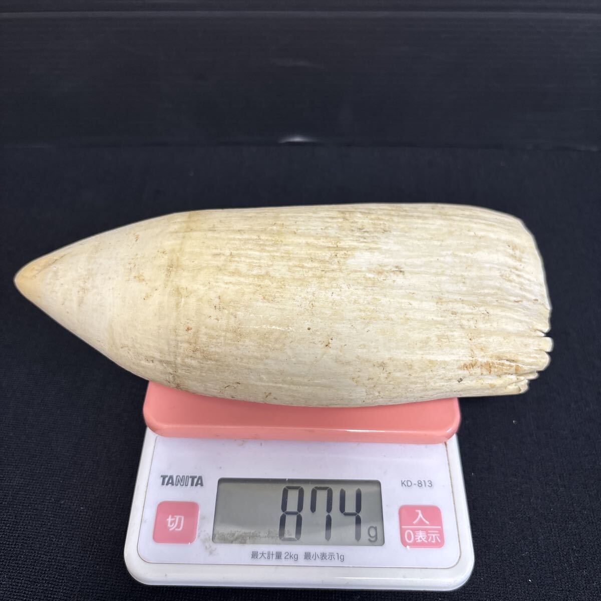 makou кит очень большой размер 874g. зуб ... натуральный материалы [ netsuke / материалы для печати / печать / художественное изделие / изделие прикладного искусства / скульптура материал / кит зуб /../.. зуб / антиквариат товар / ценный / редкий 