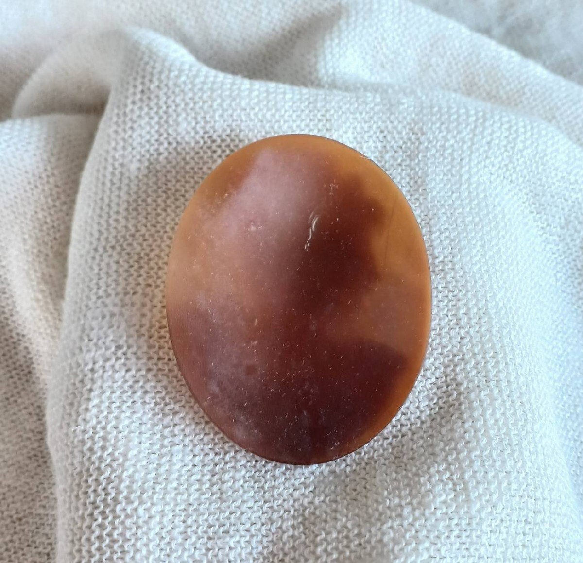 シェルカメオ ルース_画像9