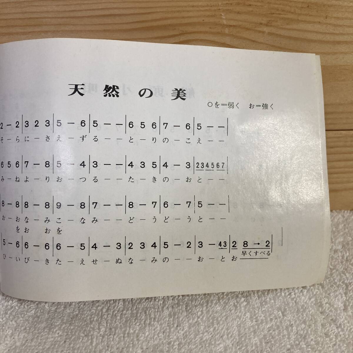ミニ琴 / 和楽器 琴 装飾品 置物 13弦 - 43cm 箱付き_画像10