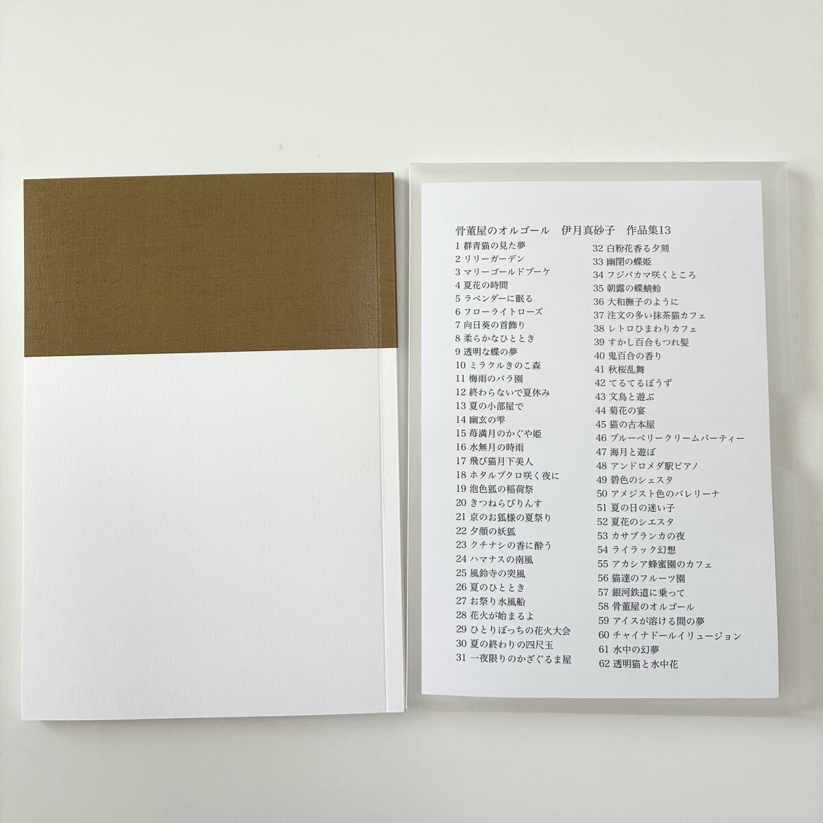 画集　『骨董屋のオルゴール』作品集13 水彩イラスト作品62点掲載_画像5