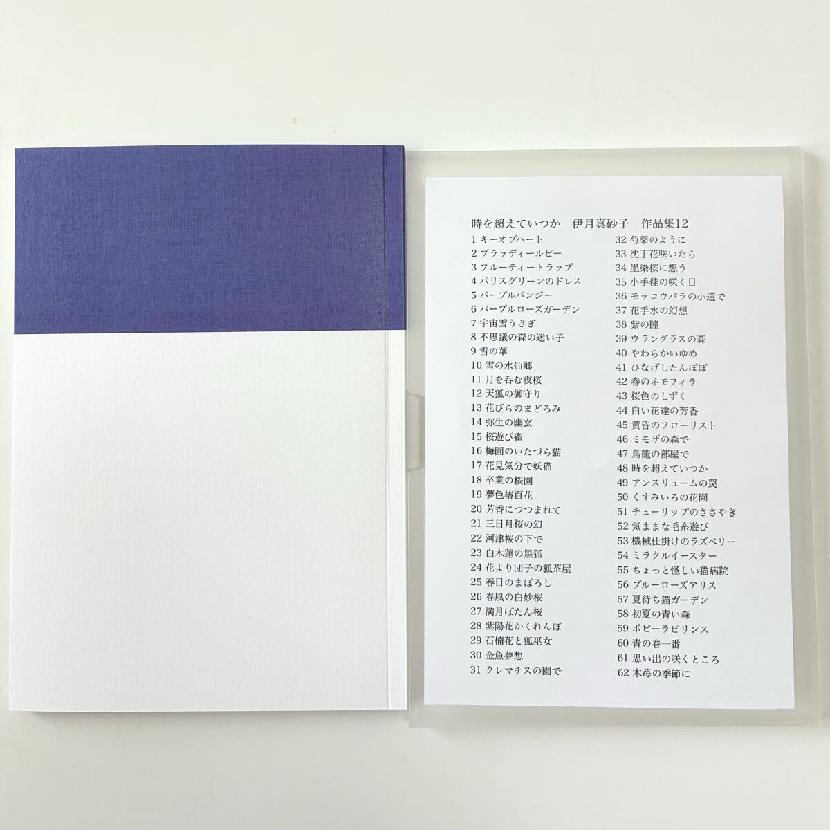 画集 『時を超えていつか』作品集12 水彩イラスト作品62点掲載_画像5