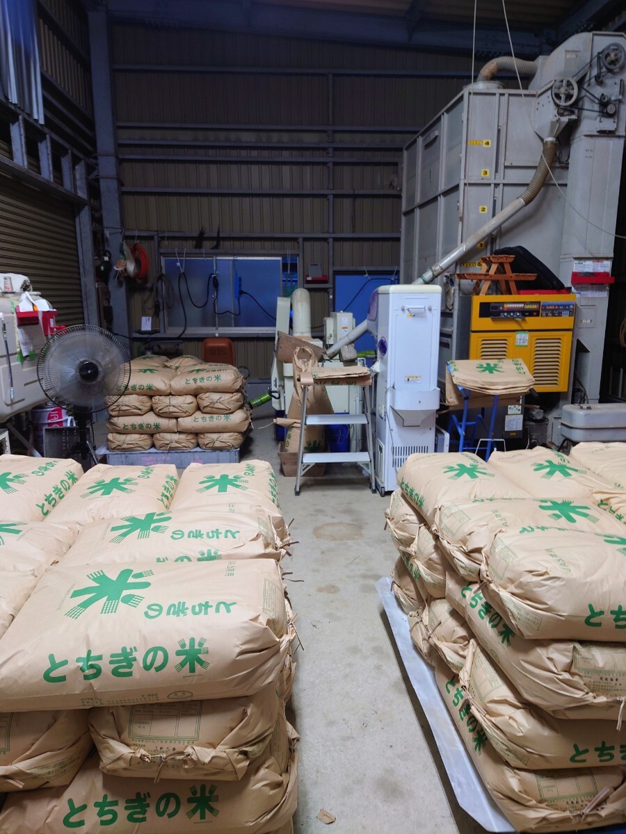 令和7年 新米！精米無料！玄米15キロ 栃木県大田原 黒羽産コシヒカリ 15㎏ 