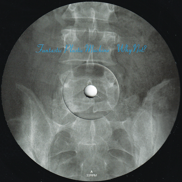 仏12inch☆ FANTASTIC PLASTIC MACHINE Why Not（France bis 26）ファンタスティック・プラスチック・マシーン【徳永彩】山本領平 Johanna_画像4