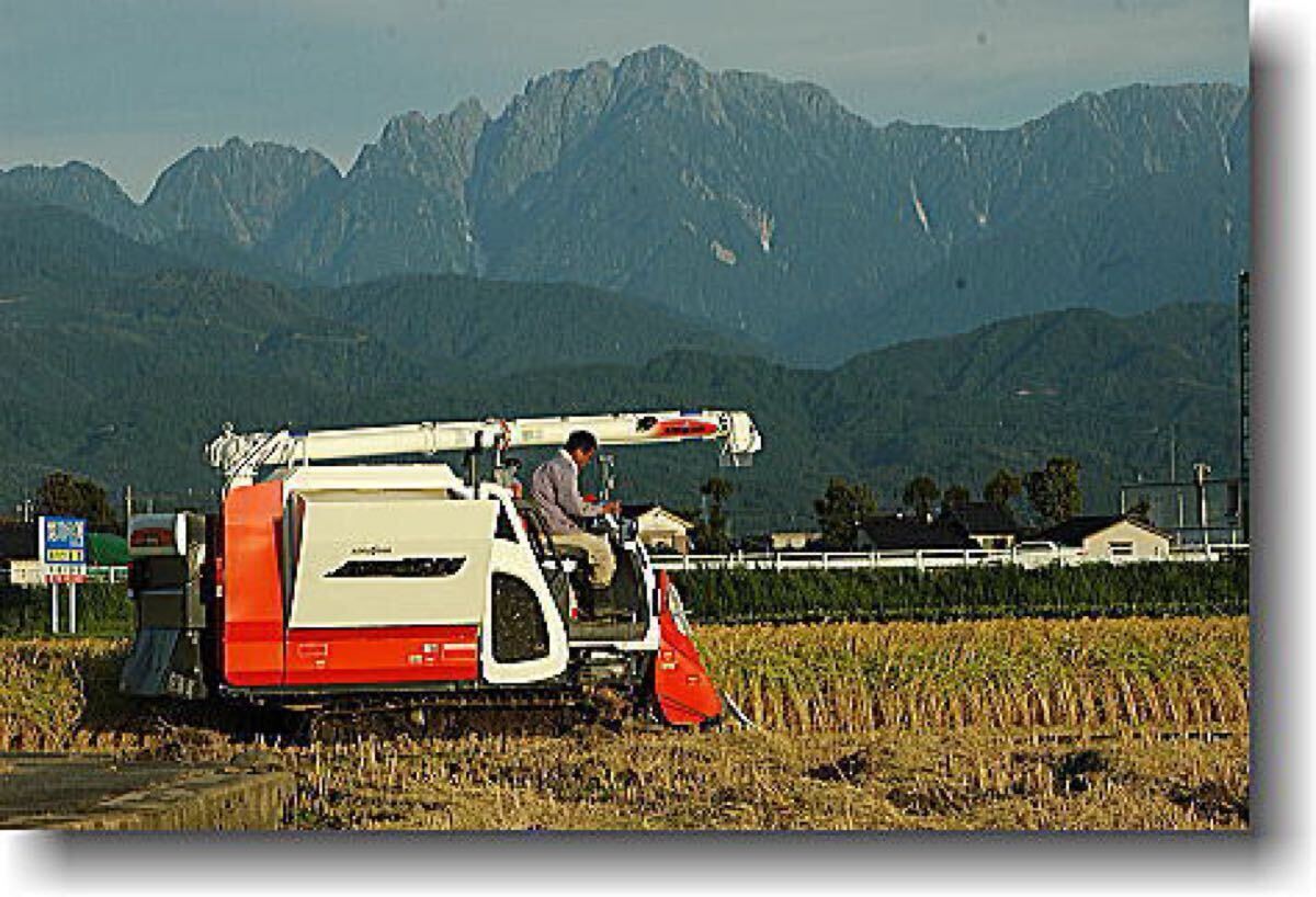 令和7年度新米★富山県産コシヒカリ★一等米★玄米30キロ★低農(nóng)薬