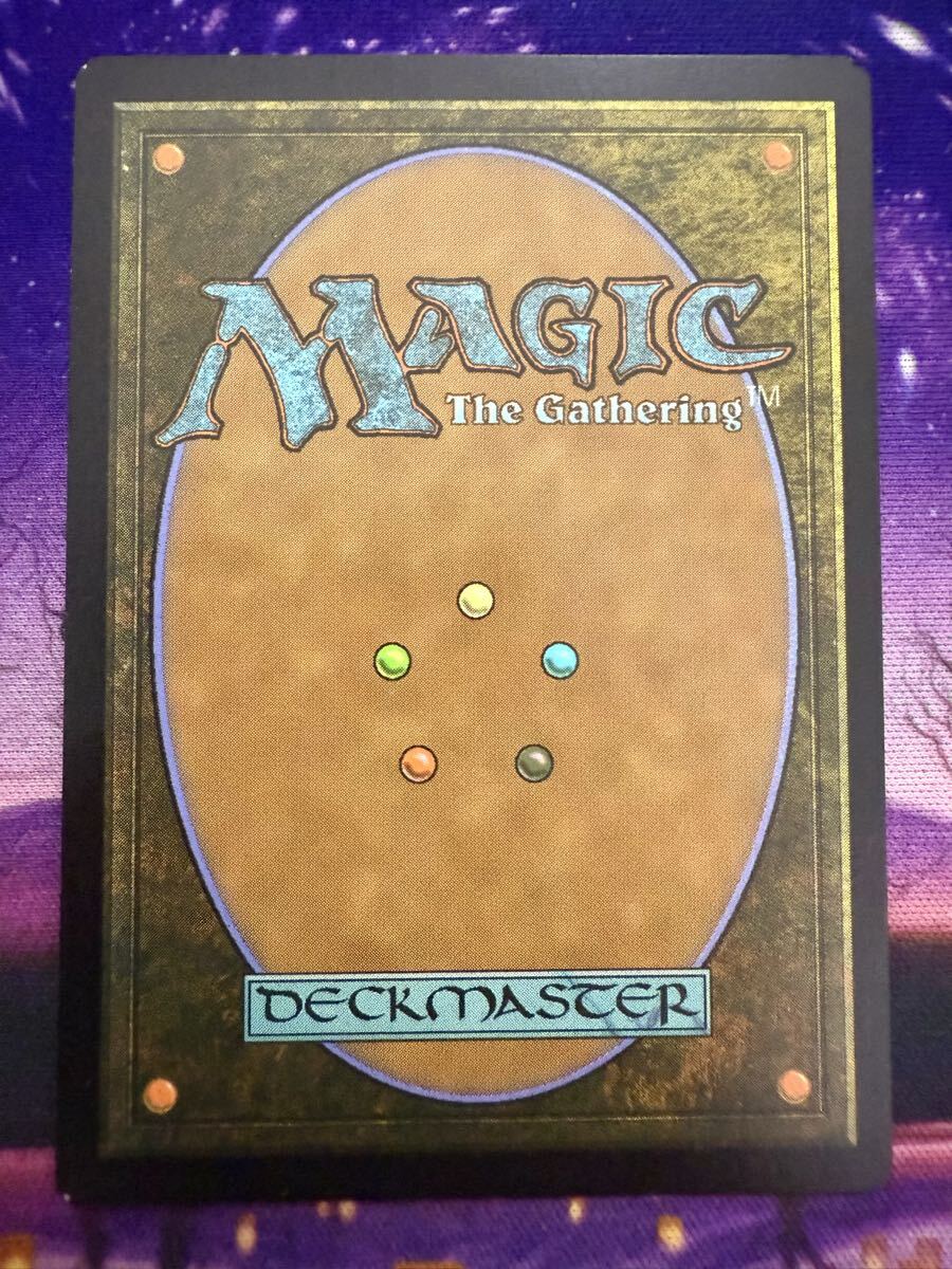 MTG/ディスプレイサーの仔猫/Displacer Kitten/CHK/英語/2枚まで_画像2