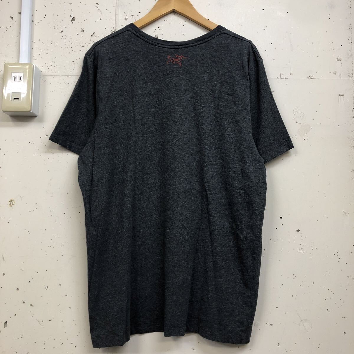 ARC'TERYX アークテリクス Tee 半袖 Tシャツ グレー メンズ サイズL プリント コットン_画像2