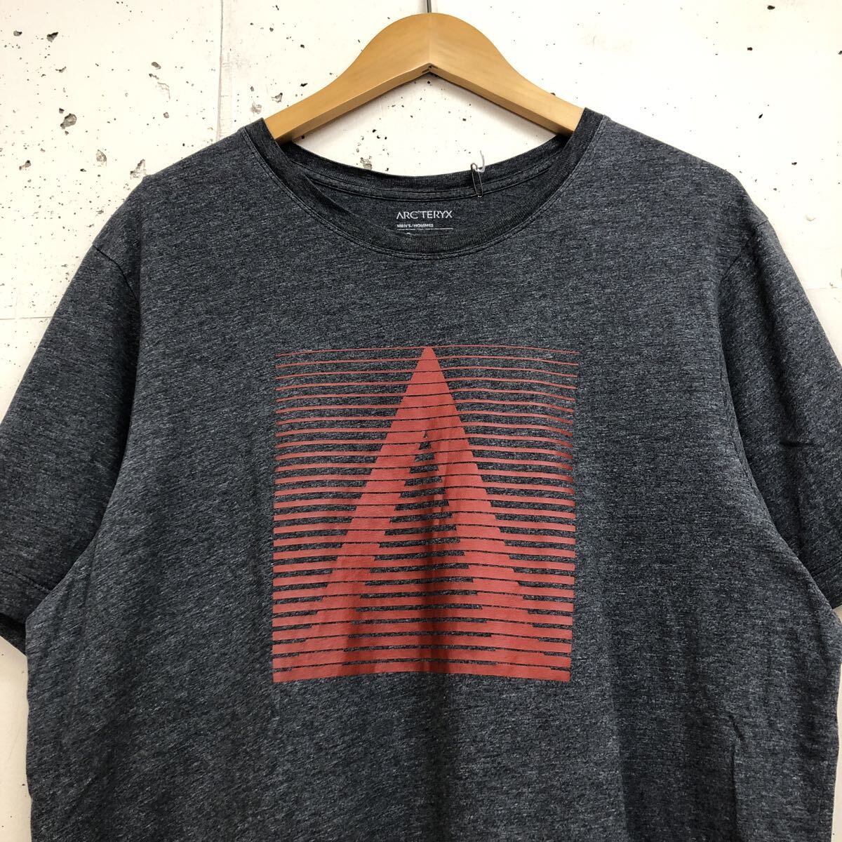 ARC'TERYX アークテリクス Tee 半袖 Tシャツ グレー メンズ サイズL プリント コットン_画像4