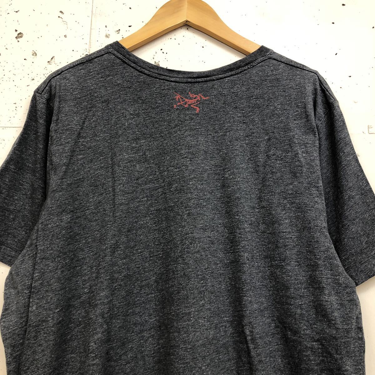 ARC'TERYX アークテリクス Tee 半袖 Tシャツ グレー メンズ サイズL プリント コットン_画像5