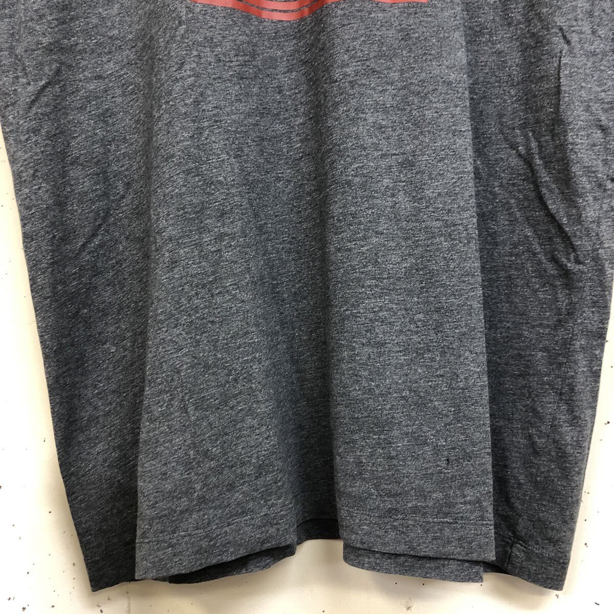 ARC'TERYX アークテリクス Tee 半袖 Tシャツ グレー メンズ サイズL プリント コットン_画像6
