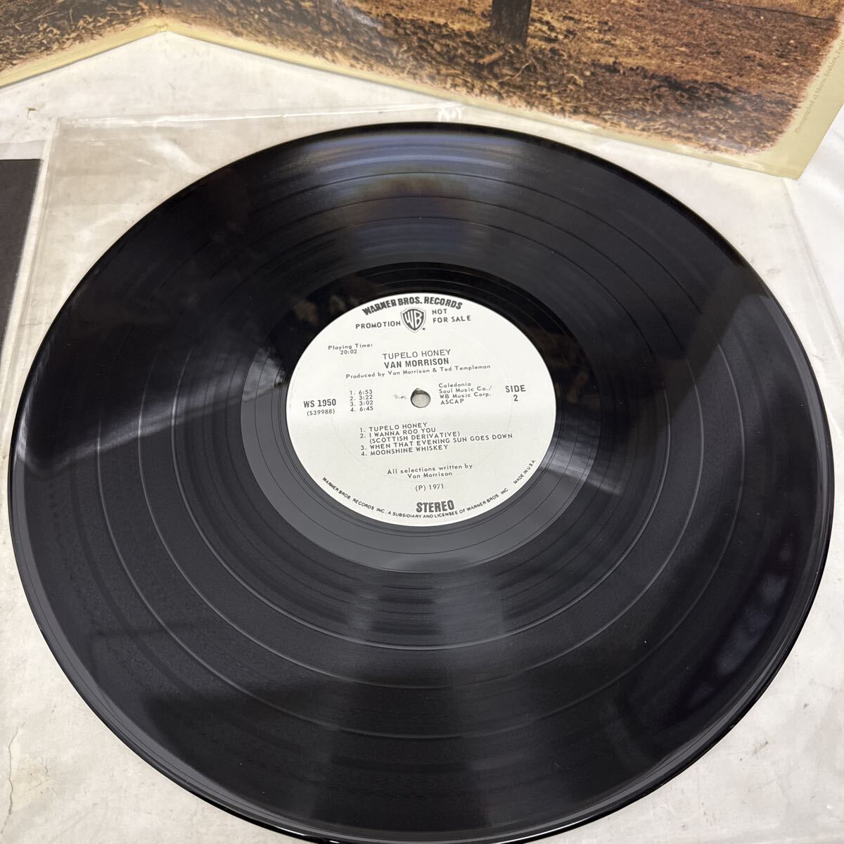 K209-111 お寶級 希少 PROMO プロモ盤 白盤 VAN MORRISON ヴァン?モリソン TUPELO HONEY WS1950 非売品 レコード LP 詳細(xì)不明