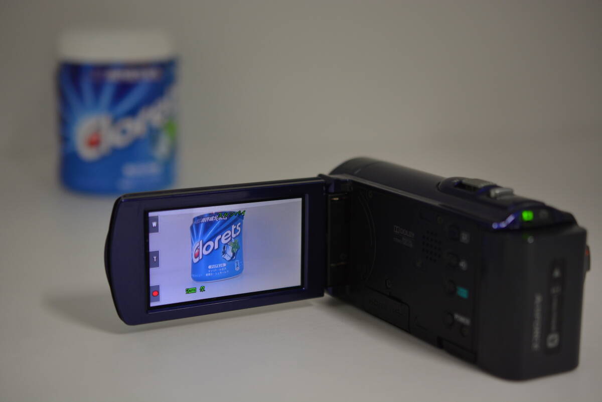 動作品 ソニー SONY HANDYCAM HDR-CX170 ハンディカム 青 ブルー デジタルビデオカメラ 管MM2929