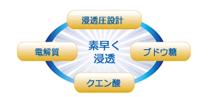 【24點セット】 補水対策 オーアールウォーターH 500ml 五洲薬品 日本制 sangost
