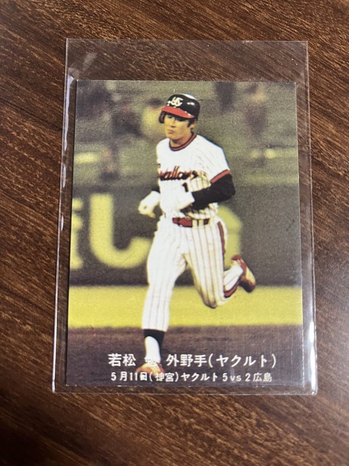 * 77 год Calbee синий версия 164. сосна .*