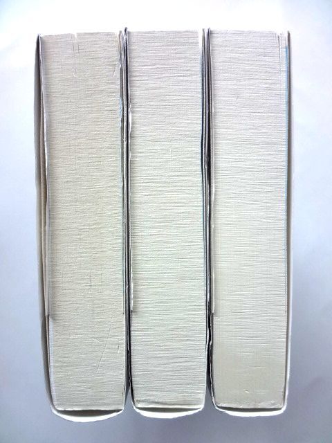  snow мяч модифицировано . новый версия War Len * полировка .to. сверху * средний * внизу no. 1. выпуск / A*shu Roader Nikkei бизнес человек библиотека / стоимость доставки 360 иен 