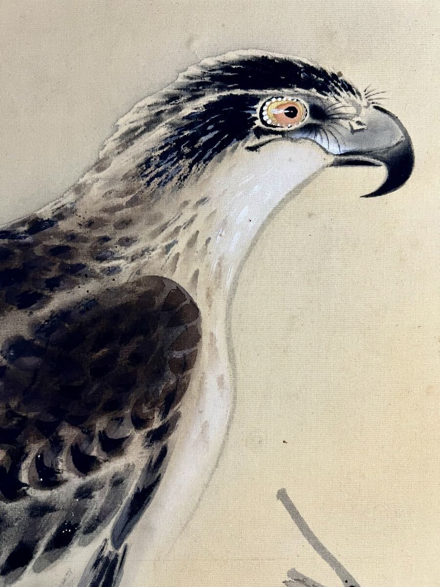 【真作】【S8】中谷紀山「鷹之図」絹本 肉筆 共箱 花鳥図 鳥獣 絵画 掛軸 明治-昭和時代の日本画家 和歌山の人 師: 小室翠雲_画像6
