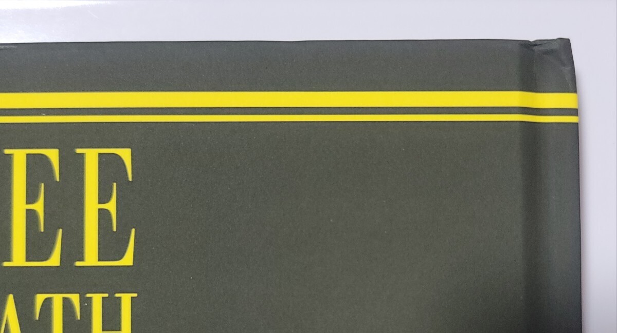 ブルース・リー死亡遊戯 写真集 横長エディション(イギリス本)未使用_画像3