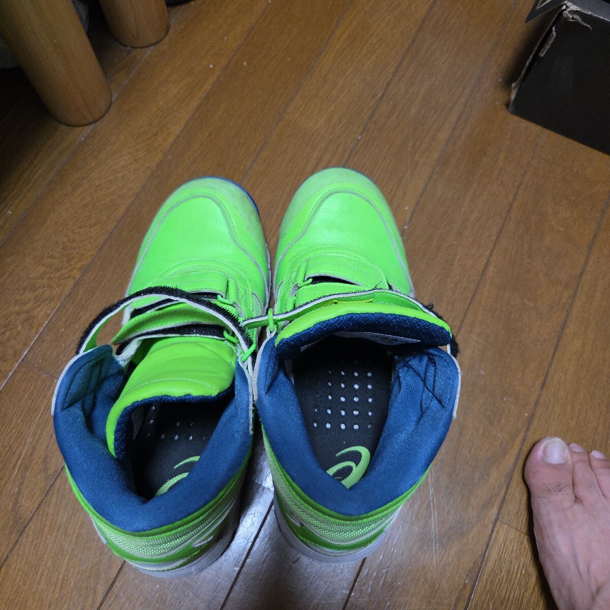 アシックス ウィンジョブ　限定品　緑 26せんち