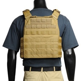 Warrior Assault Systems プレートキャリア DCSベースキャリア [ コヨーテタン / Lサイズ ]_画像3