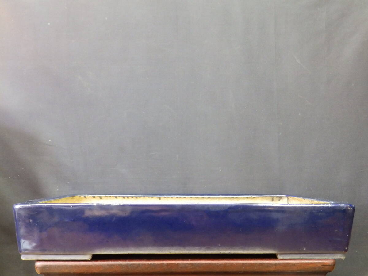 ★盆栽日和★ 和鉢 【鴻陽】 瑠璃釉切立長方鉢 54㎝ (h)_画像1