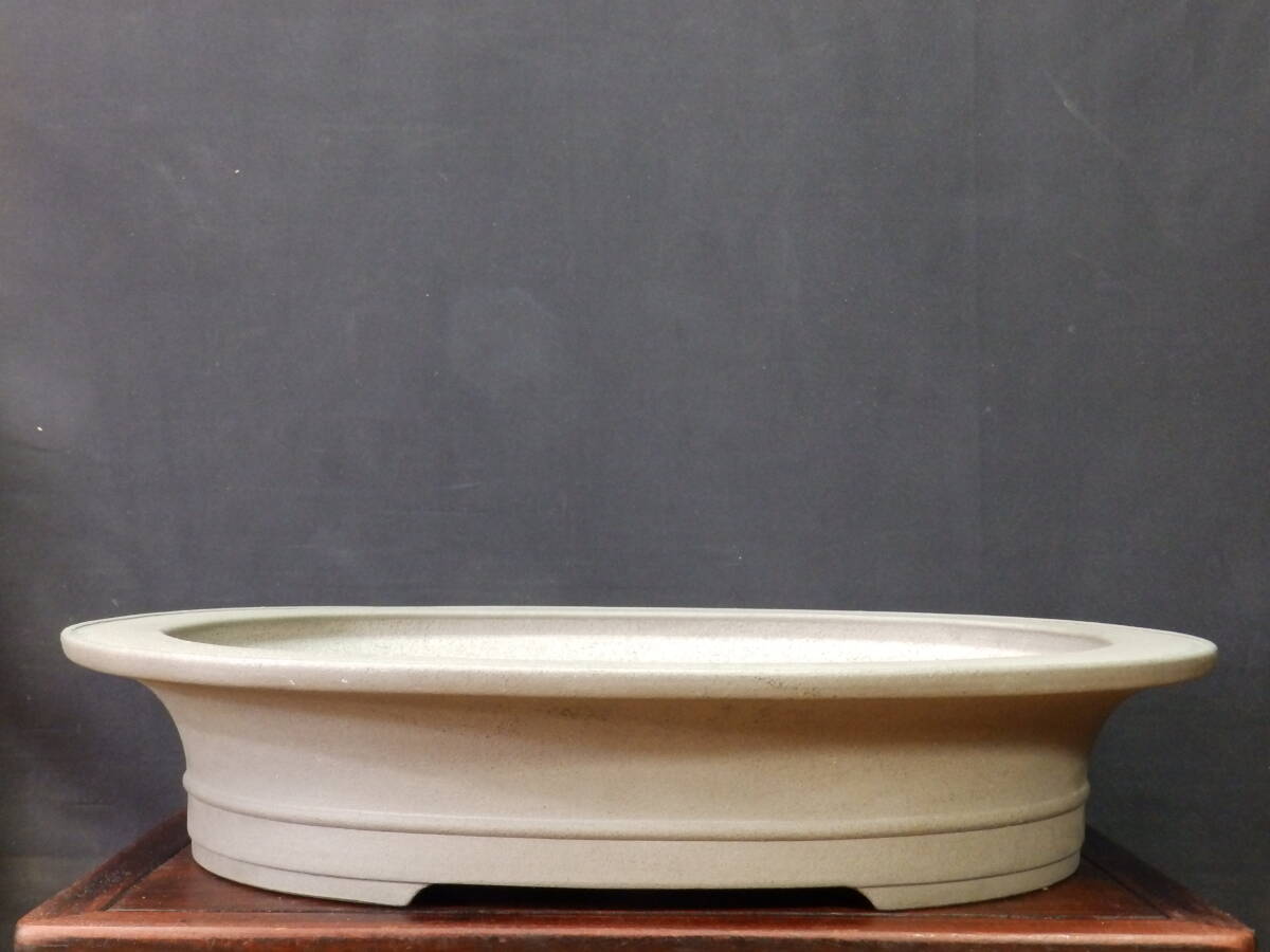 ★盆栽日和★　和鉢 【喜仙】 反縁胴紐楕円鉢　51.5㎝ _画像1