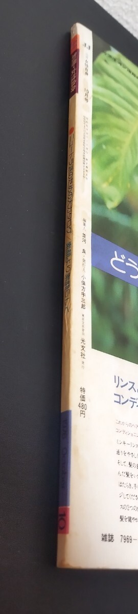 JJ 1976年10月号_画像3