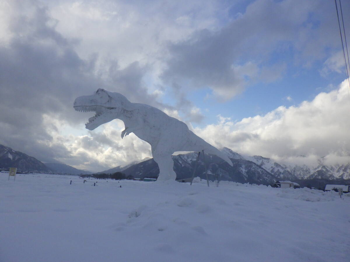 NO10【新米】コシヒカリ発祥の地福井県　令和7年産 福井県産　真空パック（３ヶ月精米直后と同等）コシヒカリ白米　5K×4個＝計20Kｇ　