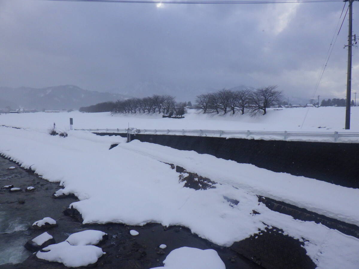 NO12【新米】コシヒカリ発祥の地福井県令和7年産 福井県産　真空パック（３ヶ月精米直后と同等）コシヒカリ白米5K×4個＝計20Kｇ送料無料　