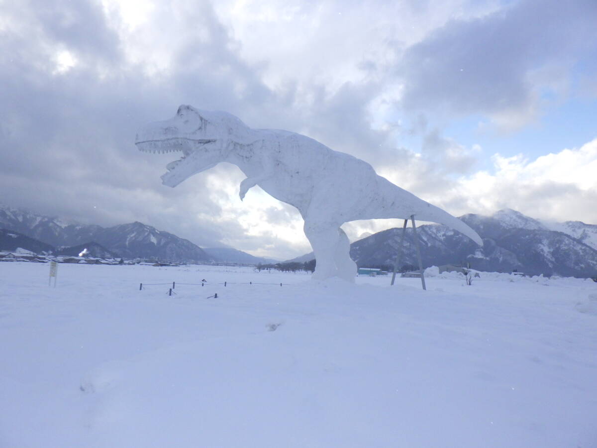 NO12【新米】コシヒカリ発祥の地福井県令和7年産 福井県産　真空パック（３ヶ月精米直后と同等）コシヒカリ白米5K×4個＝計20Kｇ送料無料　