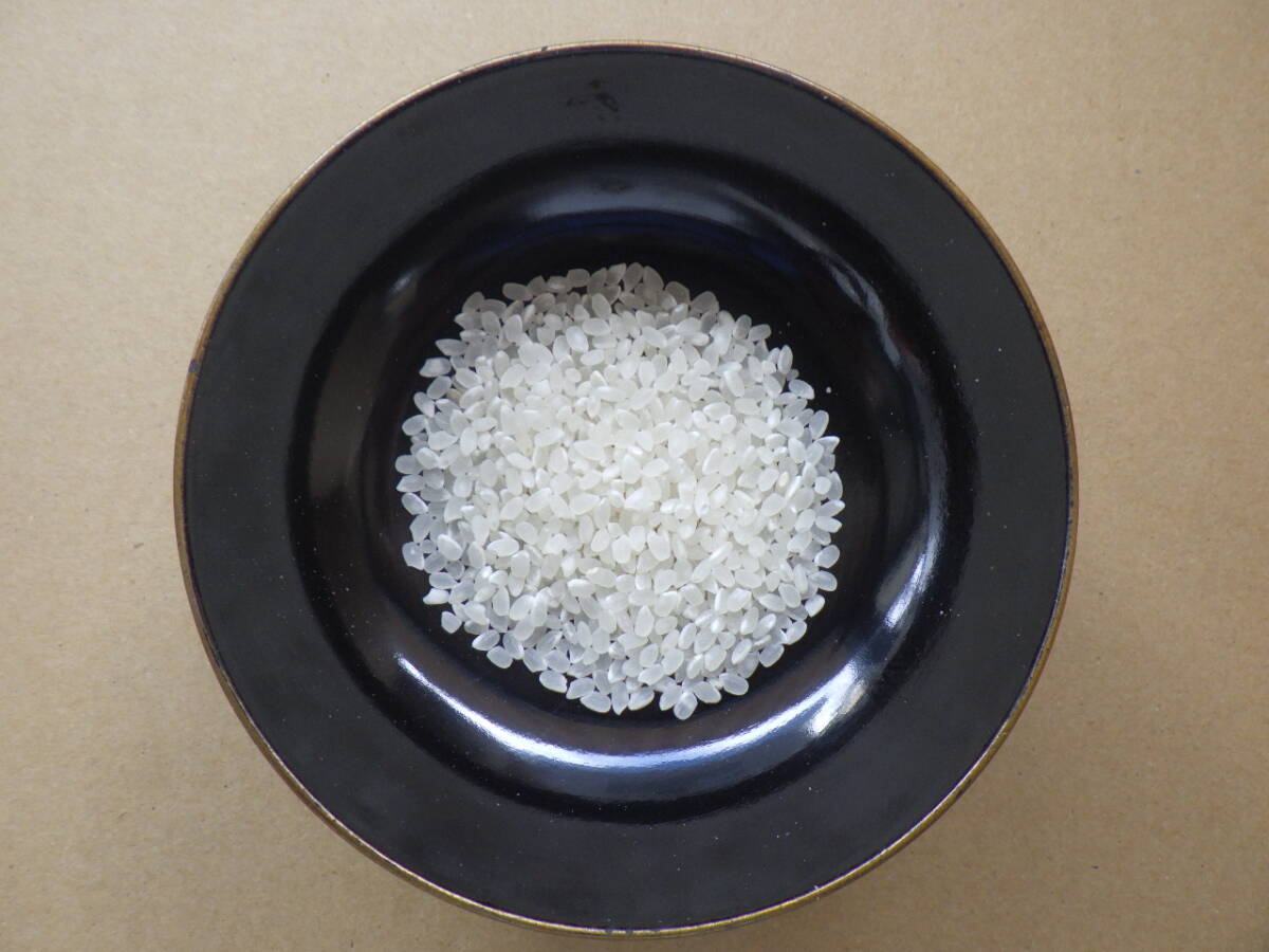 NO12【新米】コシヒカリ発祥の地福井県令和7年産 福井県産　真空パック（３ヶ月精米直后と同等）コシヒカリ白米5K×4個＝計20Kｇ送料無料　