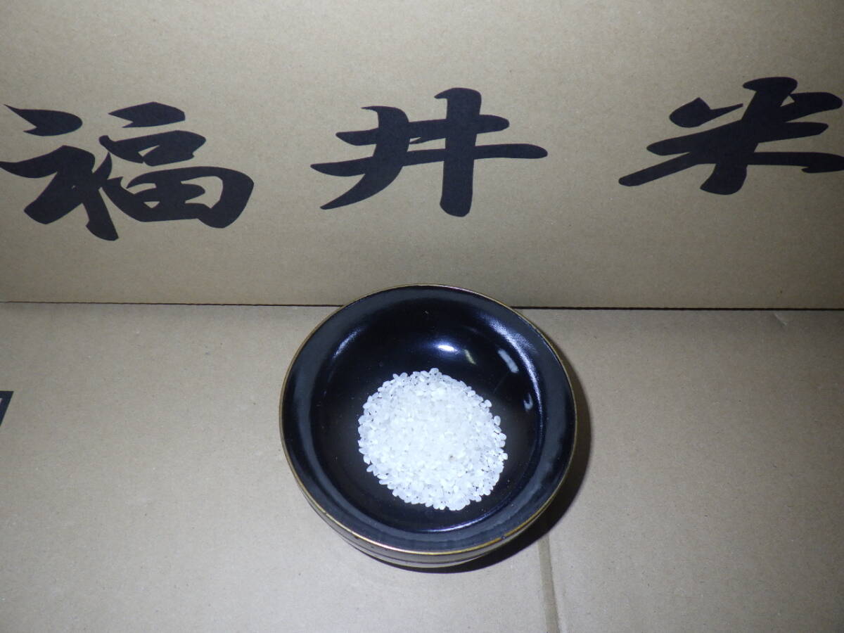 ⑦【新米】の【中米】　令和７年産　福井県産コシヒカリ真空パック（約３ヶ月精米直后と同等）　白米5K×4個　計20kg 送料無料（地域限定）