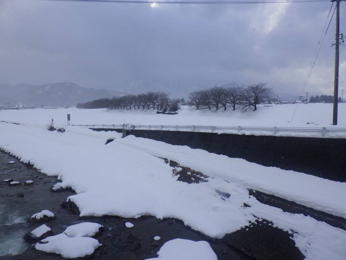 ⑦【新米】の【中米】　令和７年産　福井県産コシヒカリ真空パック（約３ヶ月精米直后と同等）　白米5K×4個　計20kg 送料無料（地域限定）