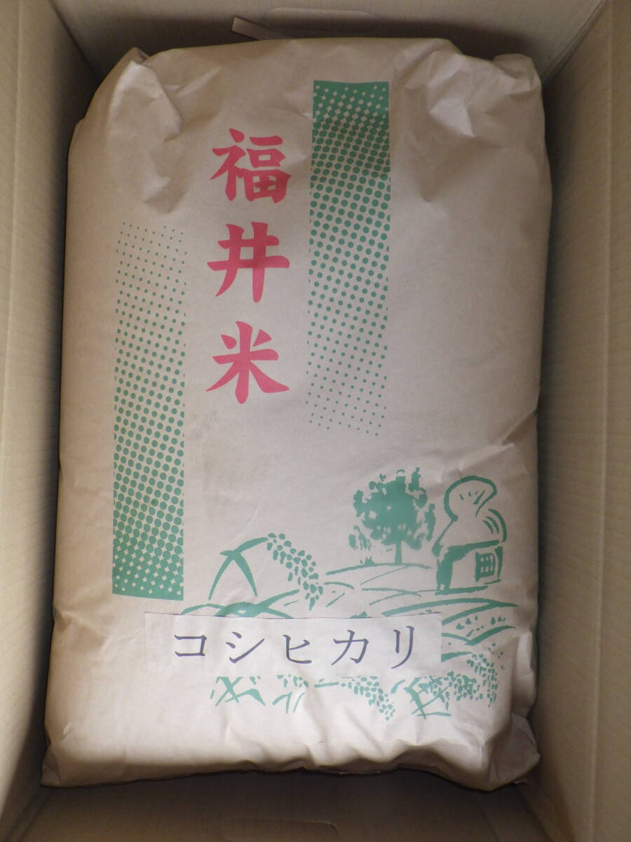 NO12【新米】コシヒカリ発祥の地福井県令和7年産 福井県産　真空パック（３ヶ月精米直后と同等）コシヒカリ白米5K×4個＝計20Kｇ送料無料　