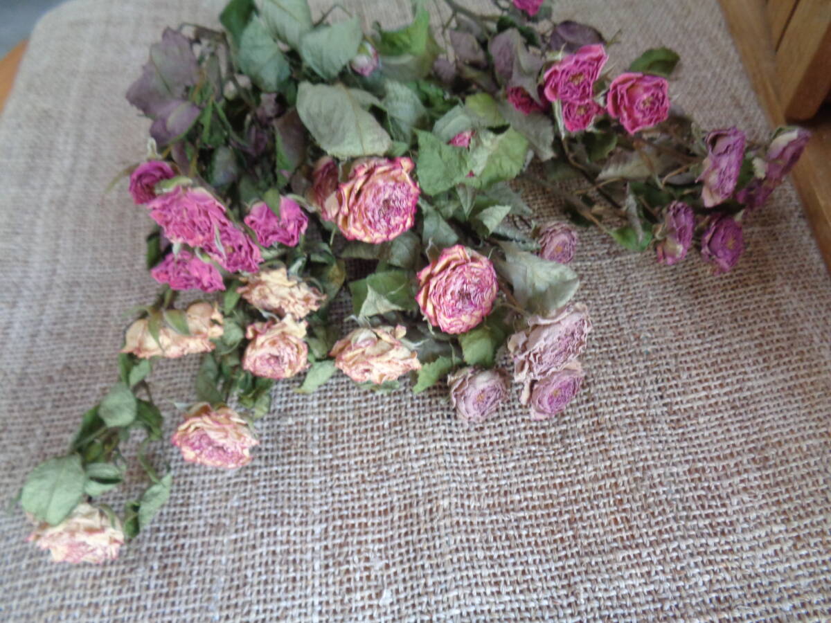 アソートスプレーローズ33輪930ドライフラワー■さらら■_画像2