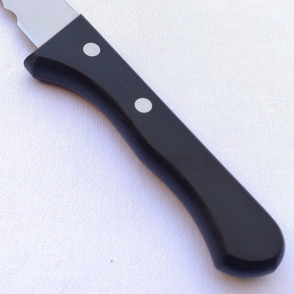 冷凍切り包丁 SCUT SUPER STAINLESS 100-10BG 刃長約230㎜ 洋包丁 冷凍庖丁 冷凍ナイフ 調理器具 庖丁 刃物 【2722】_画像10