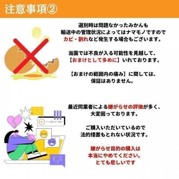 ほぼ無農(nóng)薬 羽曳野産 高級(jí)いちじく イチジク 無花果 1kg 大坂12食べ方　レシピ　栄養(yǎng)